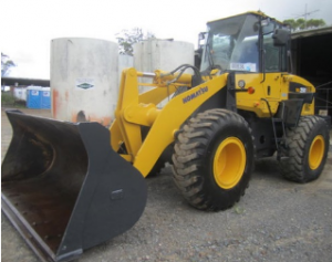Chaplin Cranes and Excavators 2 - Loaders for hire.