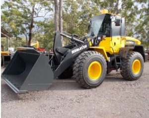 Chaplin Cranes and Excavators - Loaders for hire.