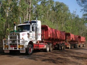 THE Mining Pty Ltd - Prime Movers for hire.