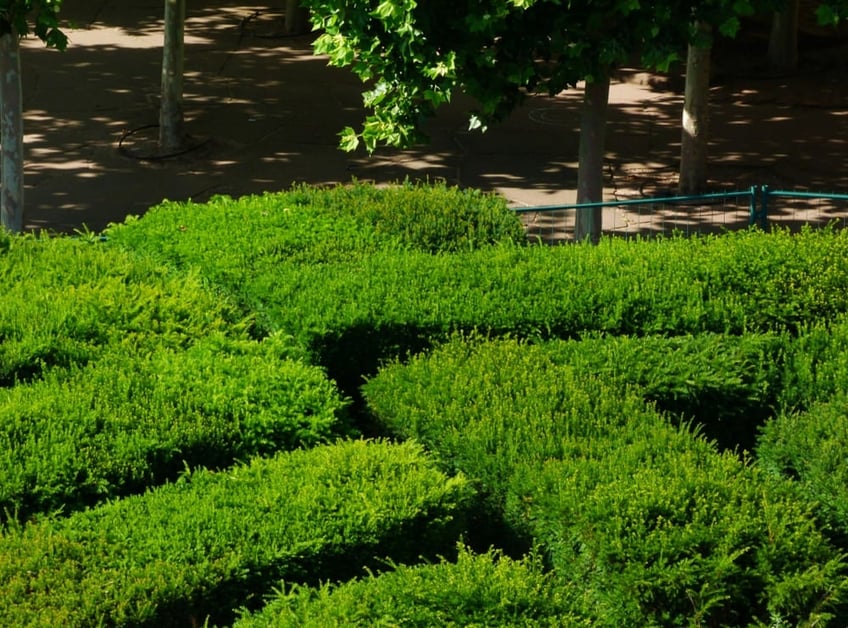 backyard-garden-maze-idea