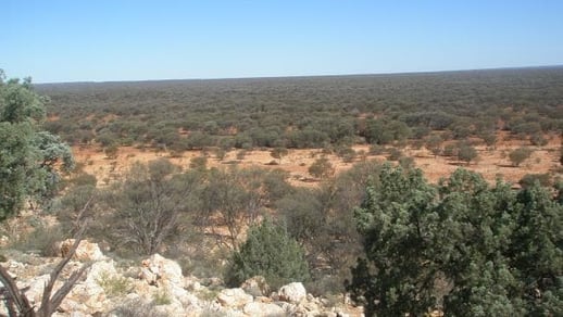 Yeelirrie uranium project