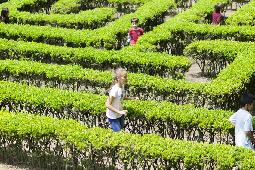 children-playing-in-hedge-maze
