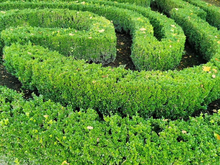 garden-maze-ideas