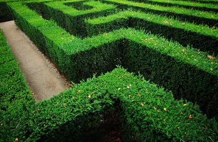 How To Build A Hedge Maze