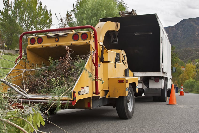 how-to-cut-a-tree-wood-chipper