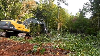 A Simple DIY Guide to Land Clearing