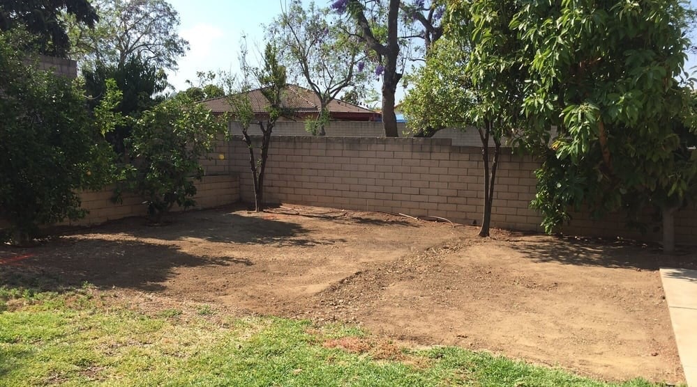 A finished yard, with select trees remaining