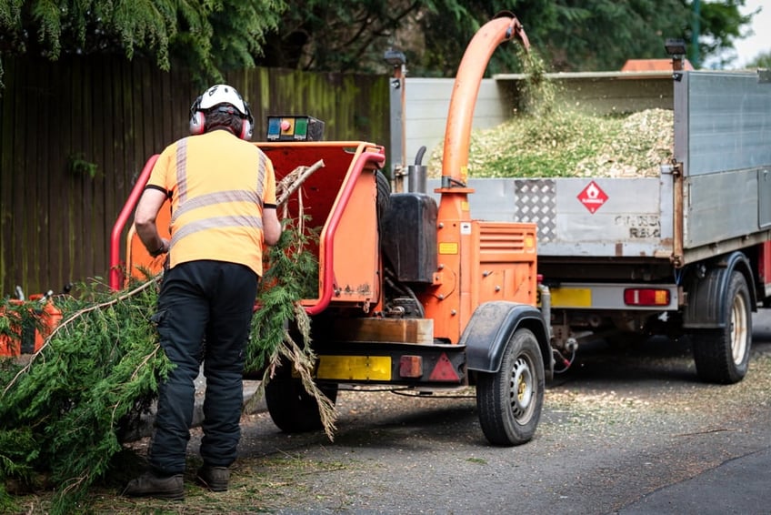 arborist mulching trees