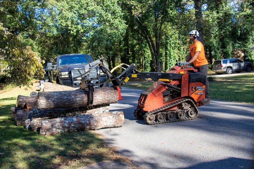 SKid steer with grabber attachment lifting and moving tree logs