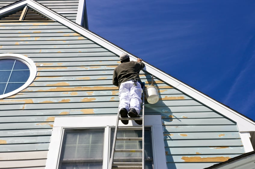 painter-labour-hire