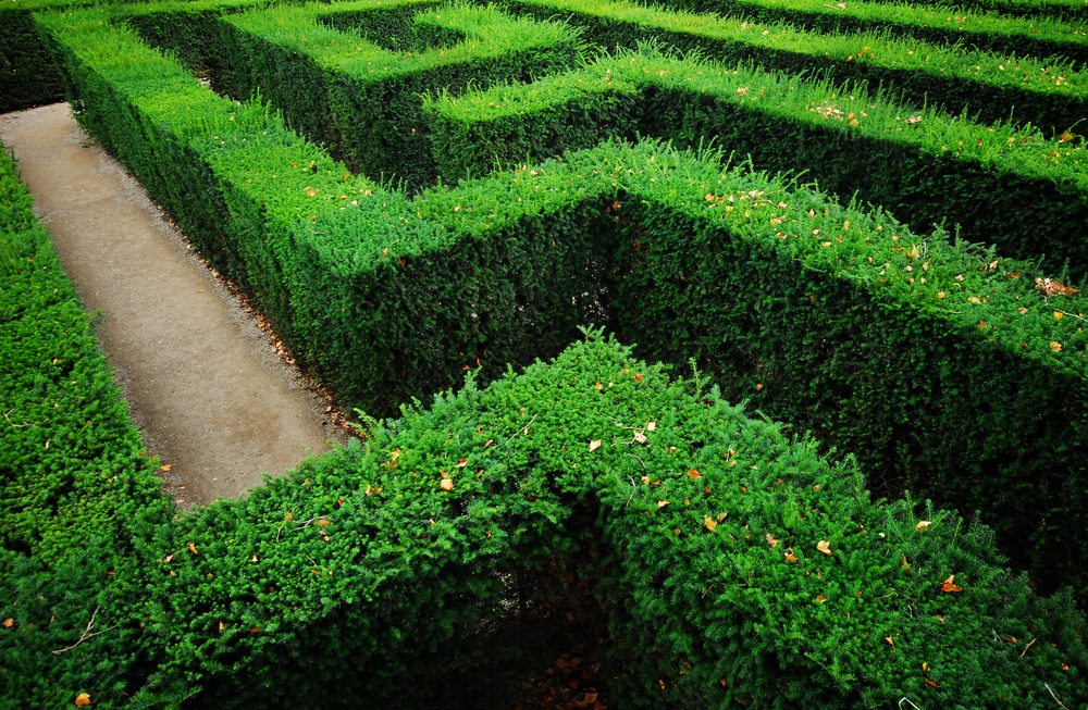 How To Build A Hedge Maze | iseekplant