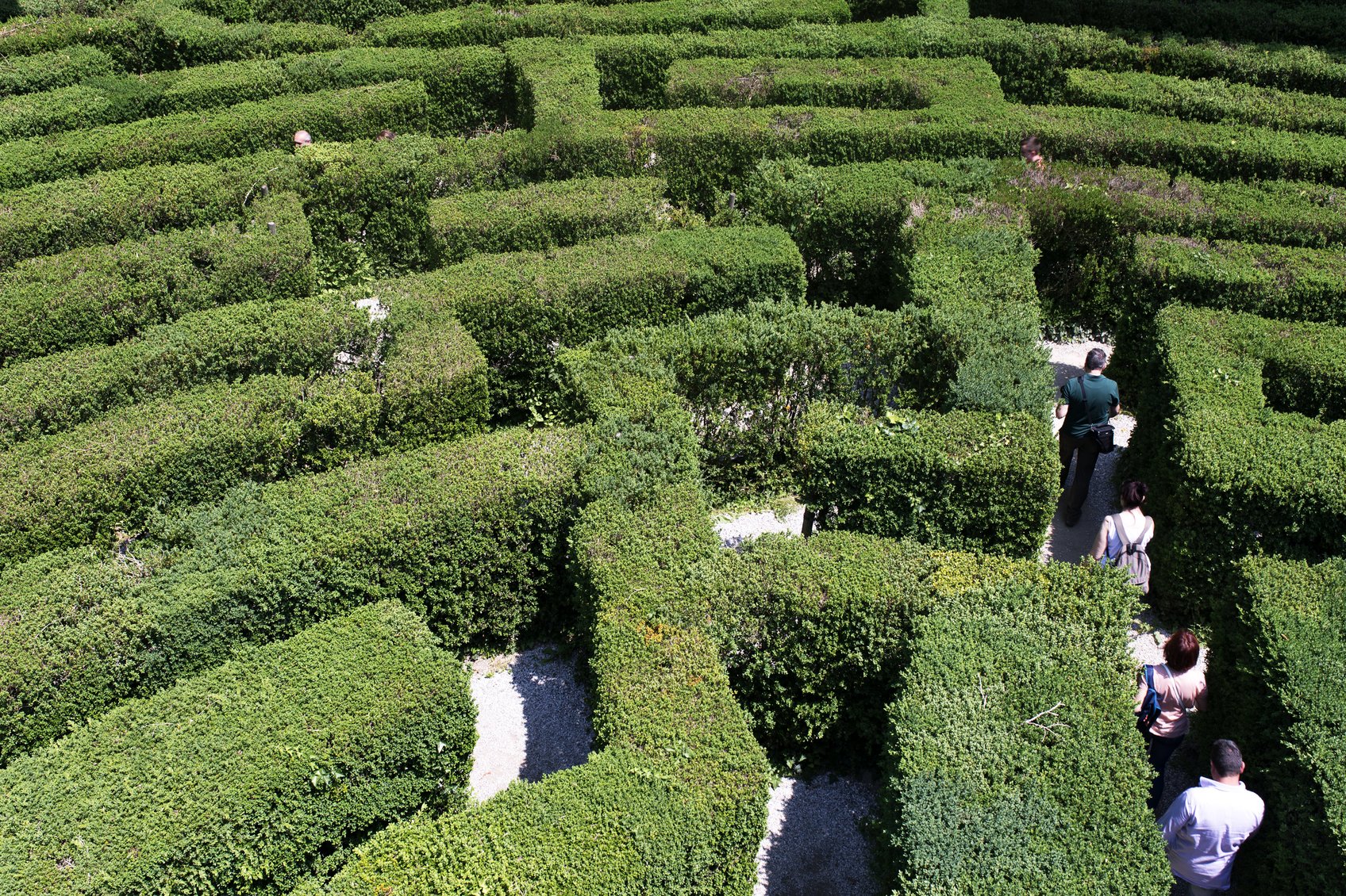 The World's 5 Best Garden Mazes iseekplant