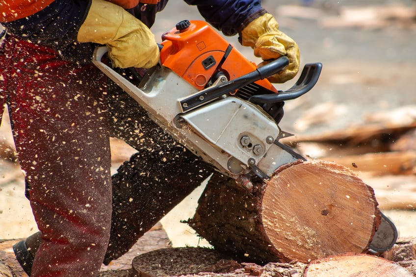 tree lopping costs-lower part of man cutting a log with chainsaw