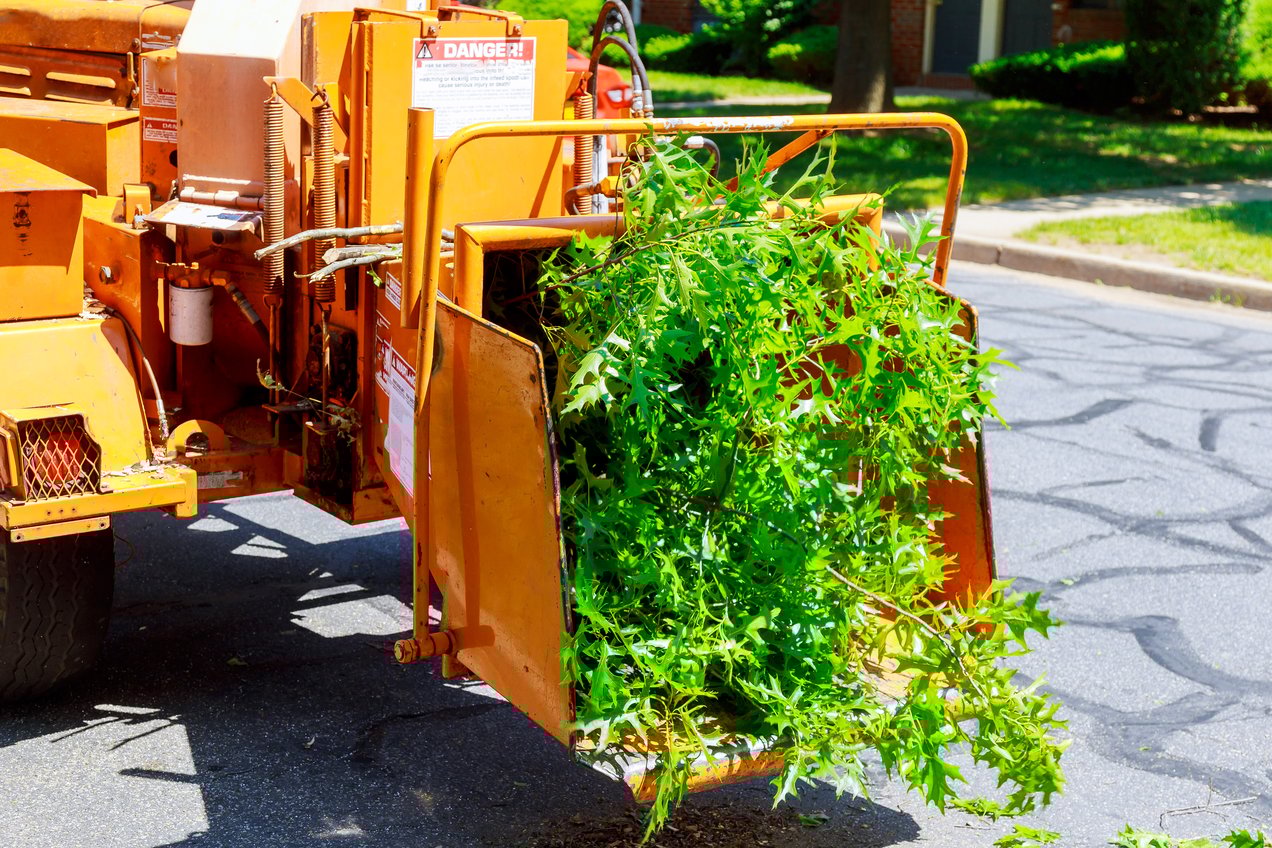 How to Use a Wood Chipper iseekplant