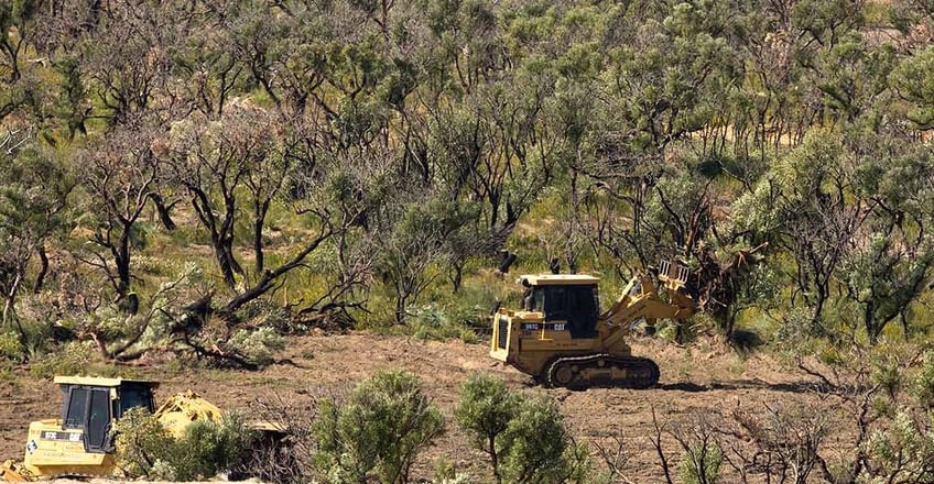Land Clearing and Tree Removal / Image by WWF Australia